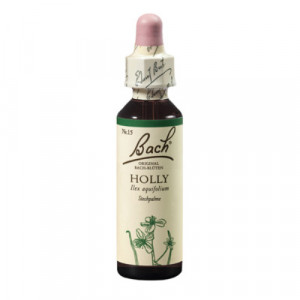 Produktbild von BACHBL&Uuml;TEN Holly Tropfen